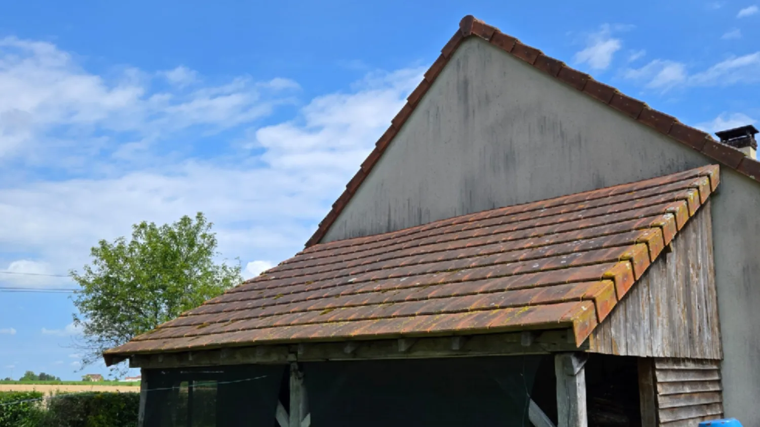 before-image