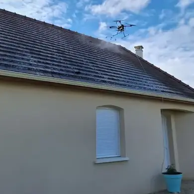 démoussage toiture à Mur-de-Sologne - image 2