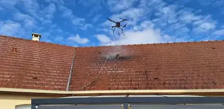 démoussage toiture Romorantin-Lanthenay-1