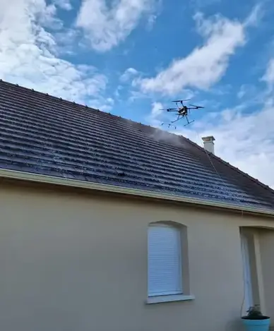 démoussage toiture à Romorantin-Lanthenay - image 3