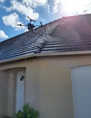 nettoyage toiture à Romorantin-Lanthenay - image 3